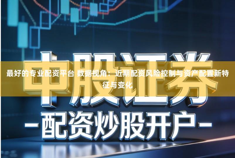 最好的专业配资平台 数据视角：近期配资风险控制与资产配置新特征与变化